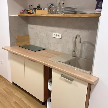 Main Street Dutch Vintage 公寓 *